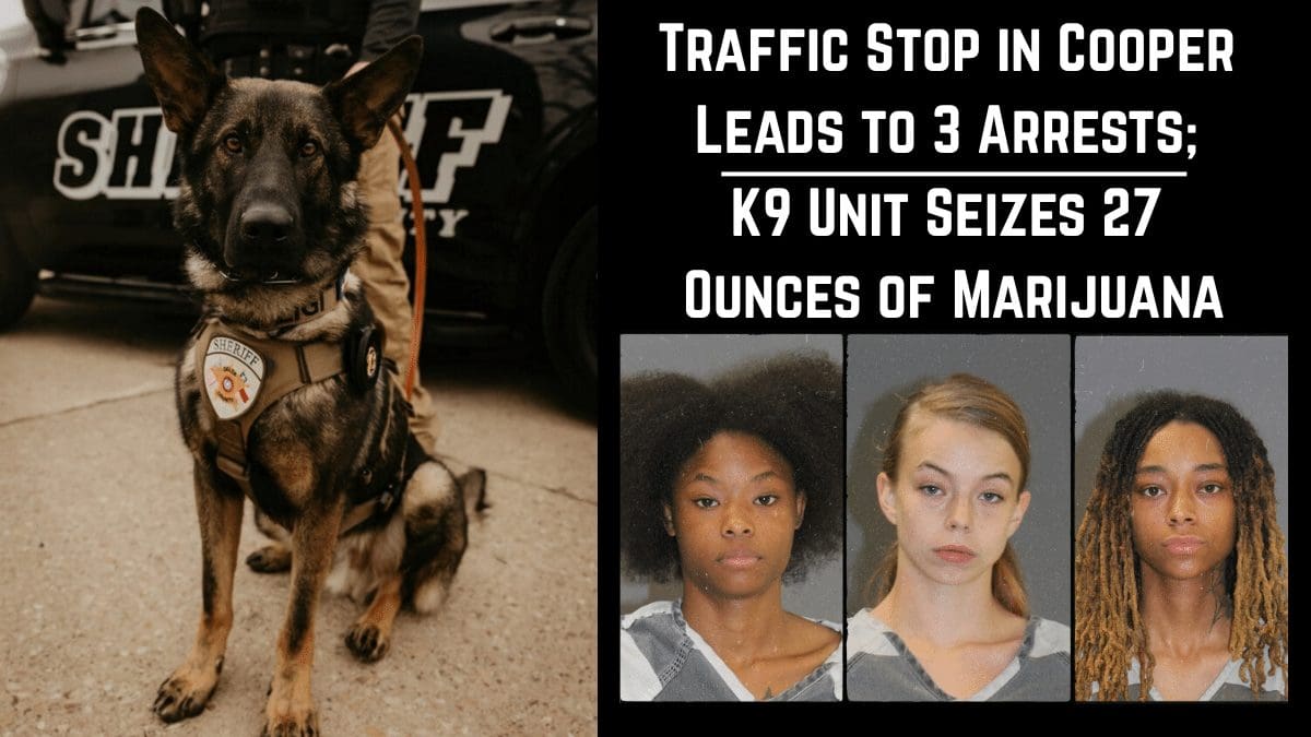 Traffic Stop in Cooper Leads to 3 Arrests; K9 Unit Seizes 27 Ounces of Marijuana